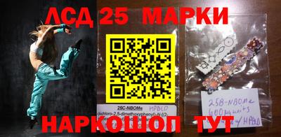 мяу мяу мука Малоярославец