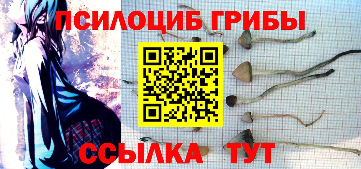 Галлюциногенные грибы MAGIC MUSHROOMS  Вход с VPN  Великий Новгород 