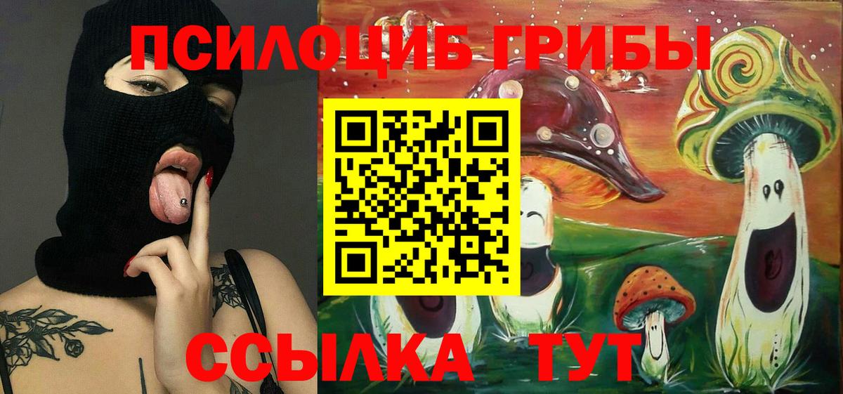 Галлюциногенные грибы MAGIC MUSHROOMS Великий Новгород